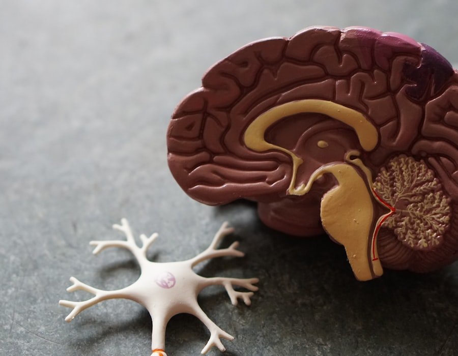 Neurology services